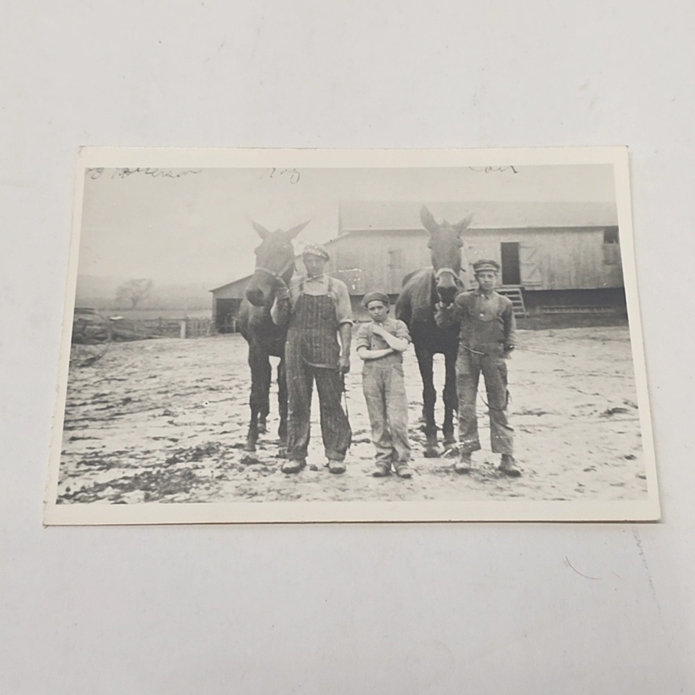 Antique Farm Photo Men with Horses Mules 3.5 x 5 Black and White RPPC